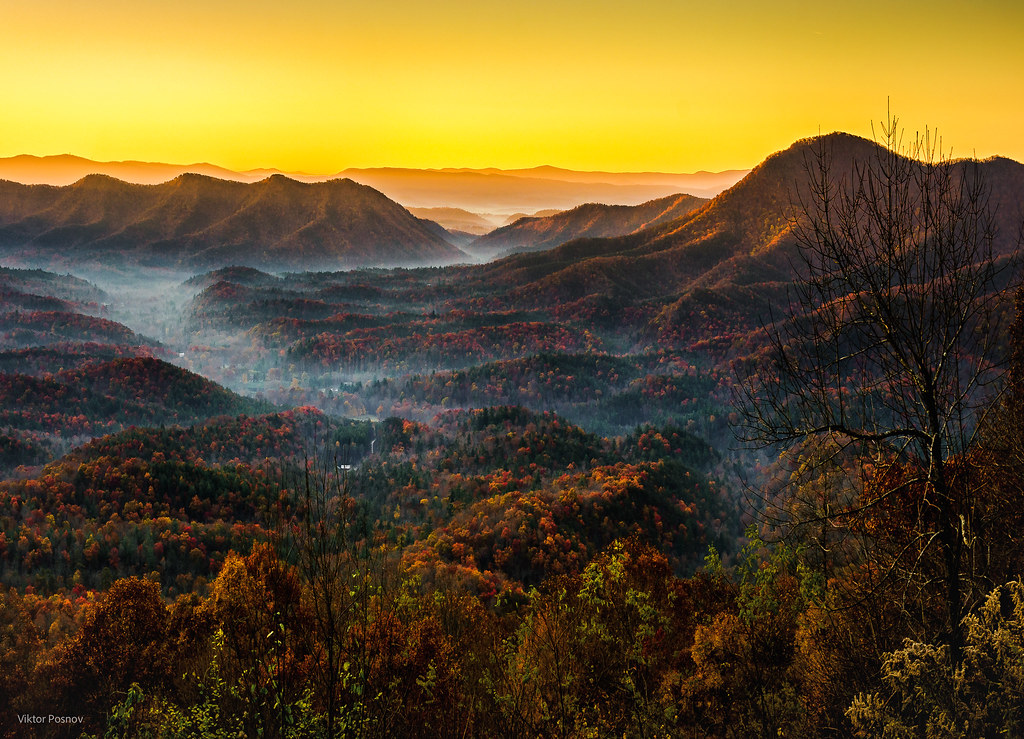 Elevation of Rose Hill Rd, Wytheville, VA, USA Topographic Map