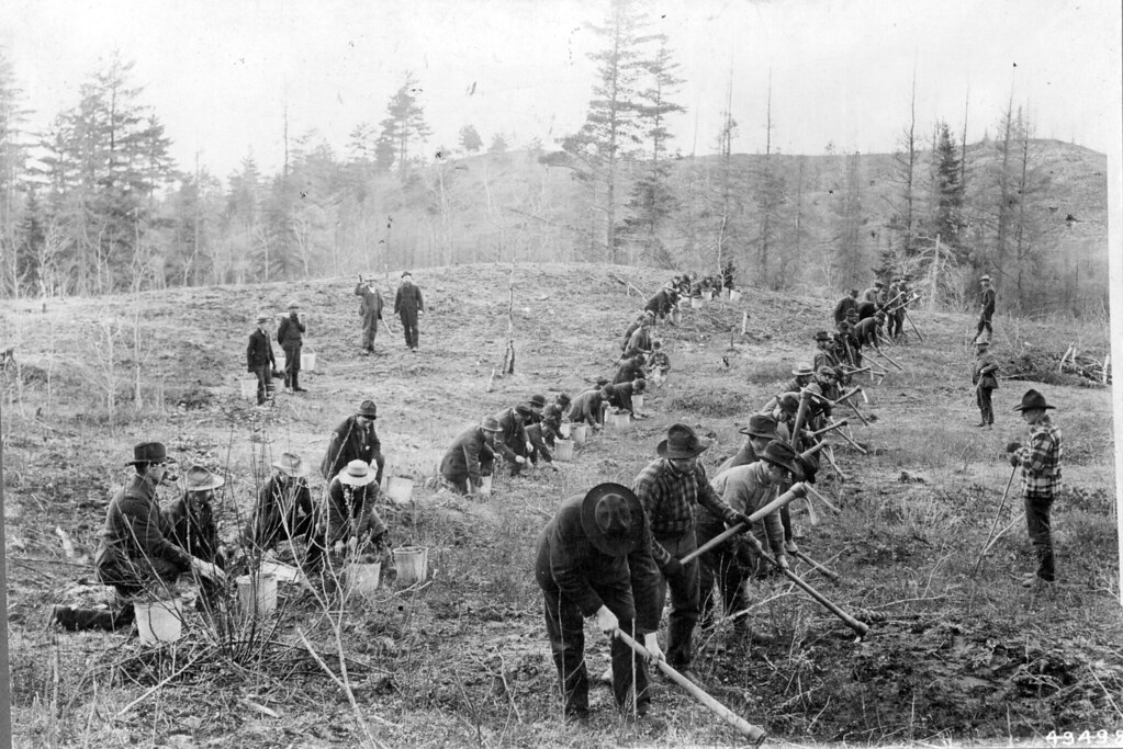 1935XXXXFSNew YorkCRP49498 New York State forests show… Flickr