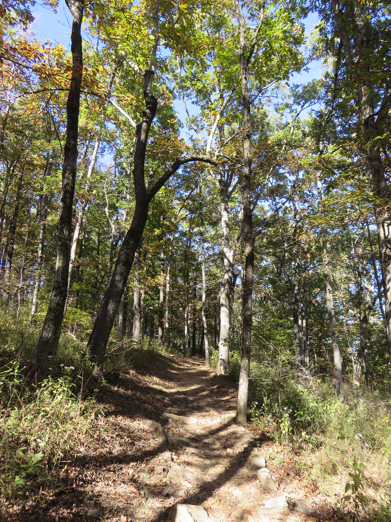 Signal Hill Trail (Mount Magazine State Park, Arkansas) Flickr