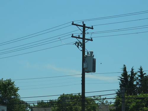 Atlantic City Electric 12.47kV Cape May County, NJ Flickr