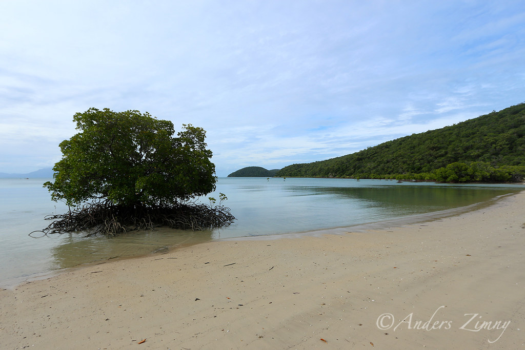 Little Pioneer Bay Orpheus Island NP, QLD Anders Zimny Flickr