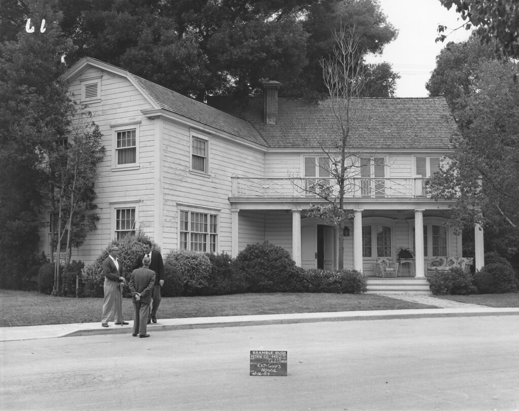 "Bramble Bush" Ext Guy's House 41659 jericl cat Flickr