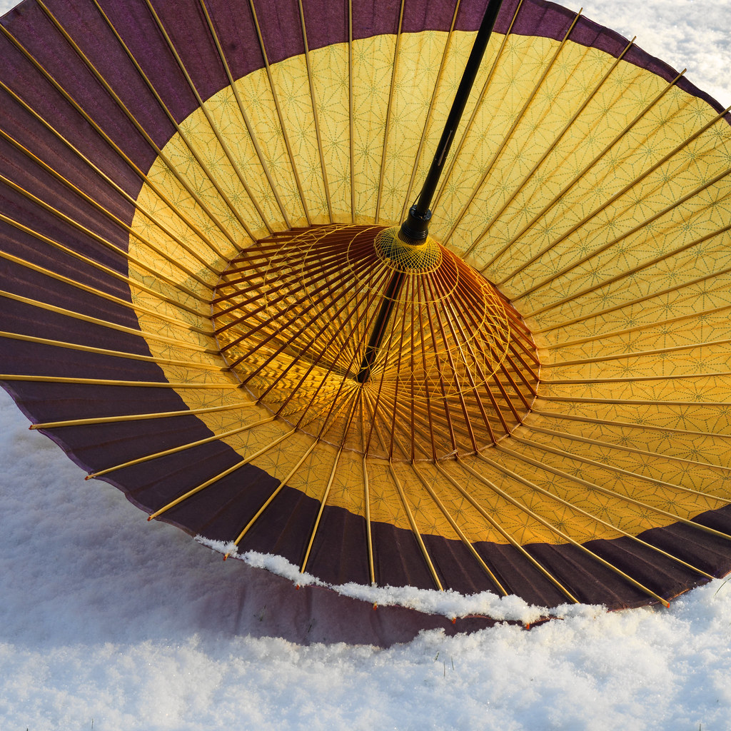 Umbrella Inside of a Japanese umbrella in the snow. Hassel… Flickr
