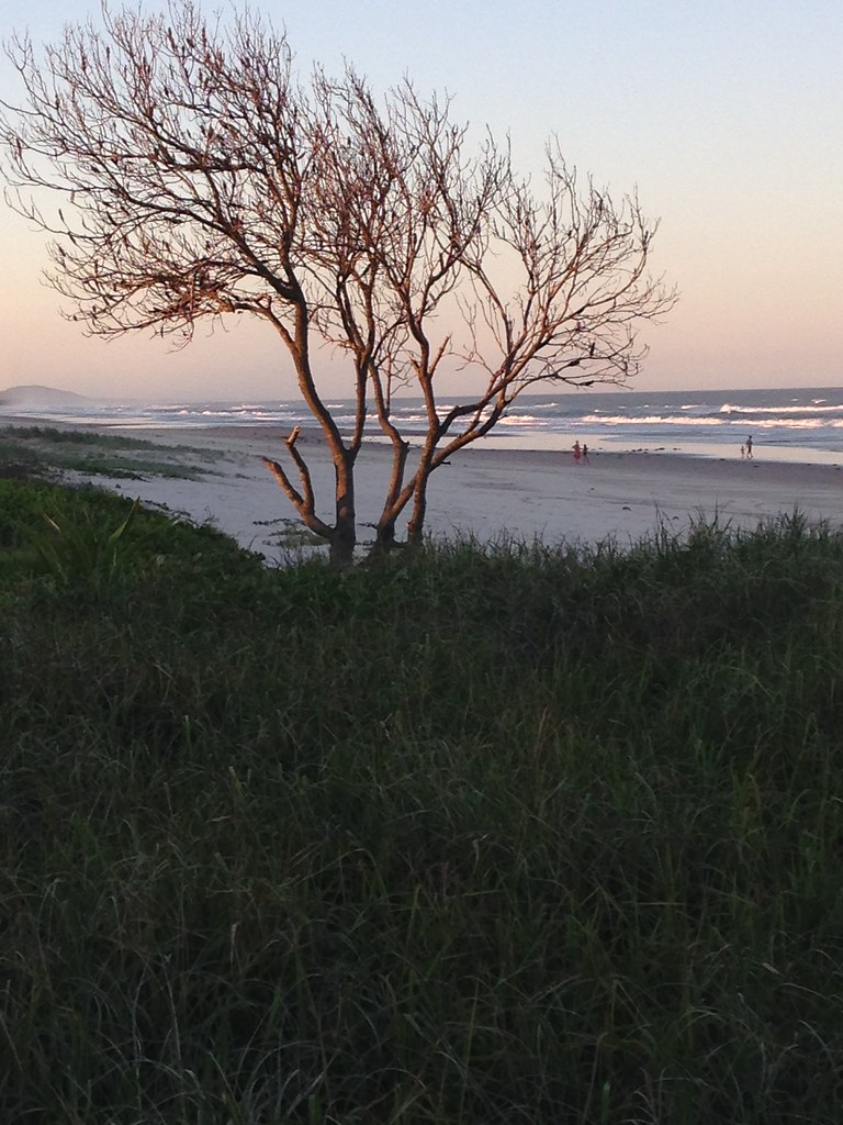 5 sunset South Golden Beach 24Mar2015 Julie Lindsay Flickr