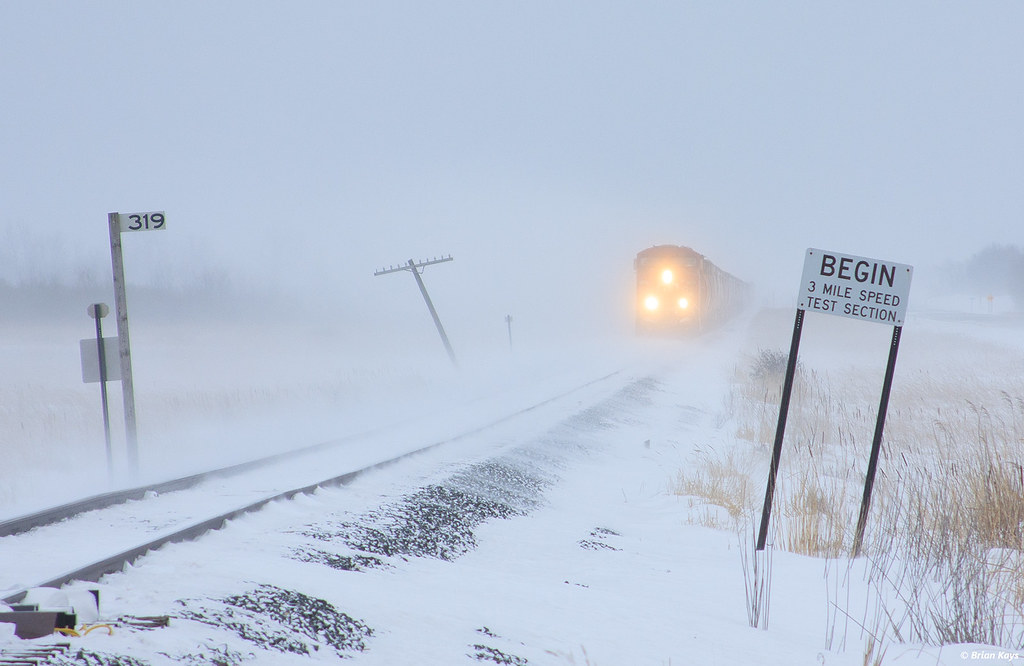 Elevation of New Maine Township, MN, USA Topographic Map Altitude Map