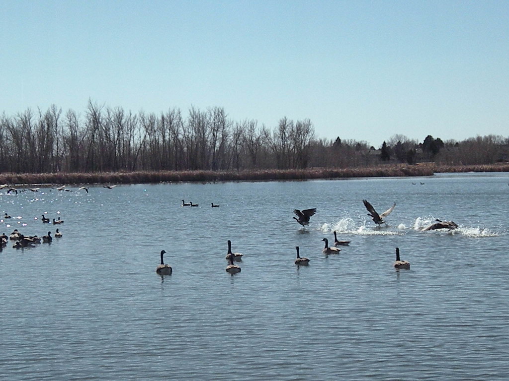 Eastlake Thornton Colorado Saturday Morning 021718 Flickr