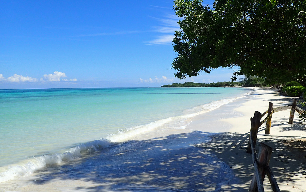Snapshots from Jamaica Trelawny Beach john Grew Flickr