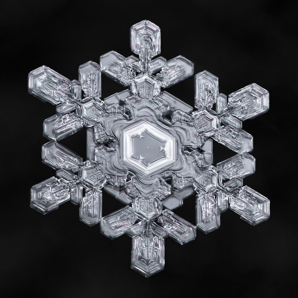 SnowflakeaDay No. 56 These thick, solid snowflakes are m… Flickr