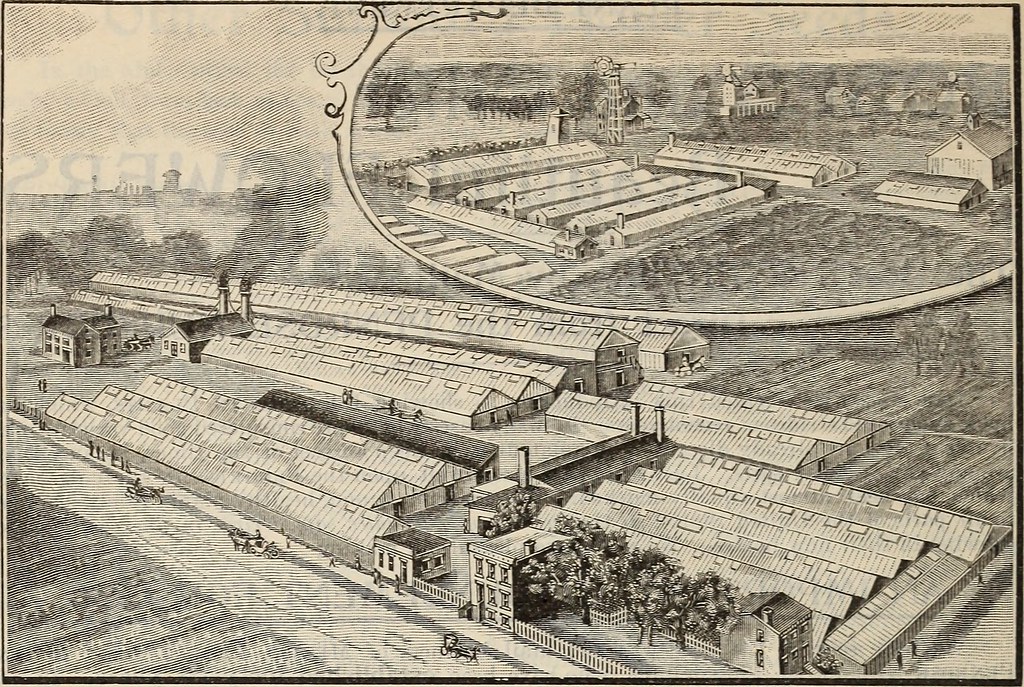Image from page 169 of "Burpee's farm annual" (1896) Flickr