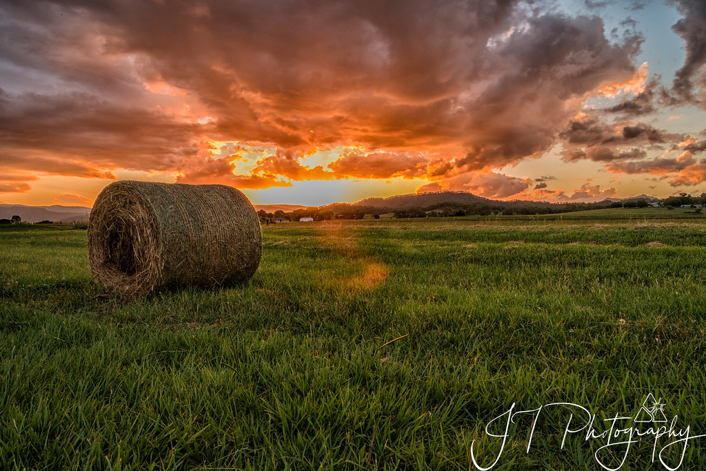 Rosevale QLD, Australia Sunrise Sunset Times