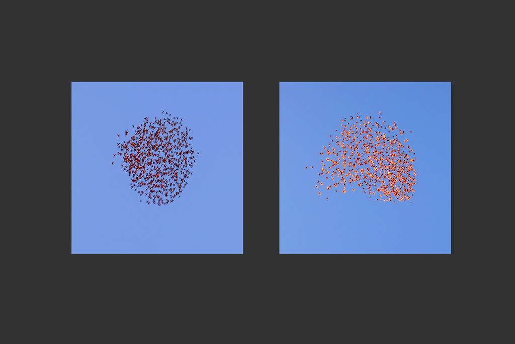 ballet Jean Loup FOSSETTE Flickr