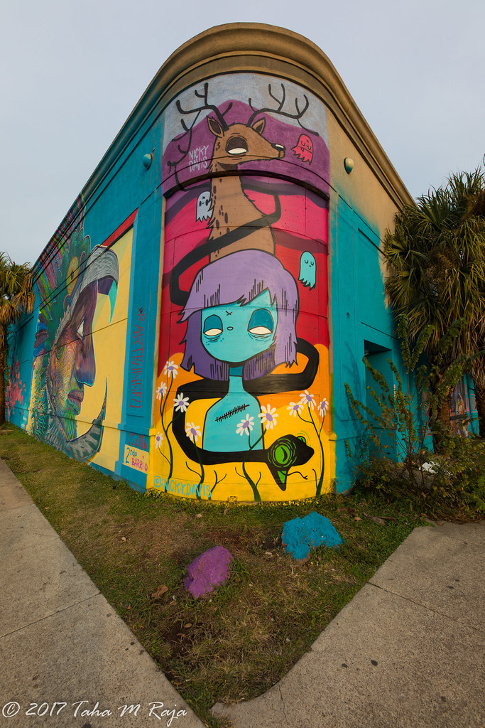 Corner Building Wall Art Murals EaDo Houston, TX, Grafitti… Flickr