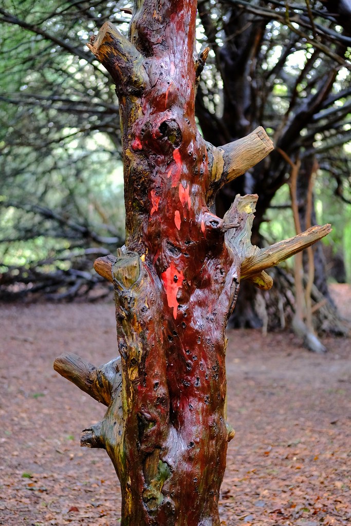 Blood Red Tree michaelnez Flickr