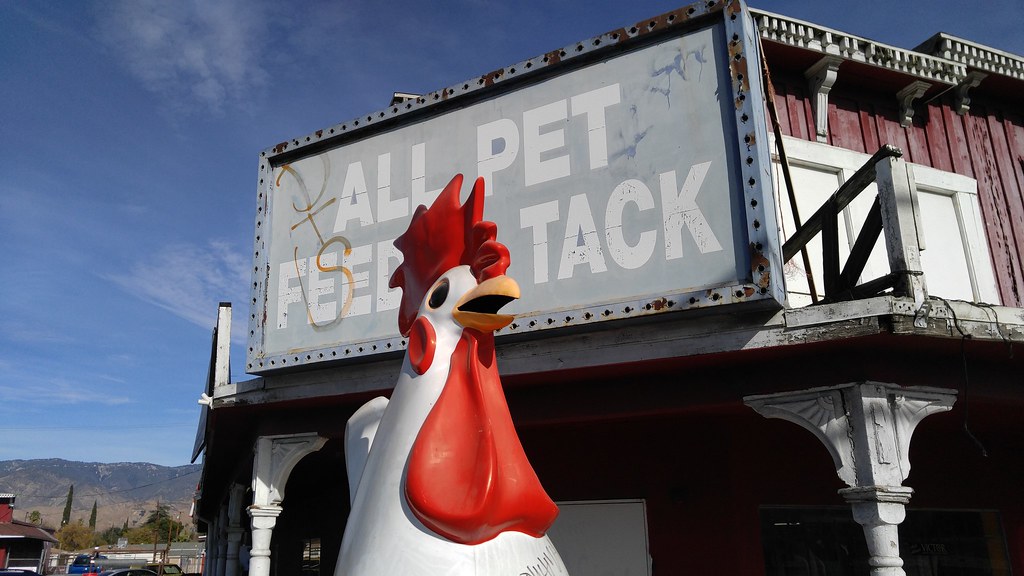 All Pet Feed and Tack, San Bernardino, California U.S.A. … Flickr