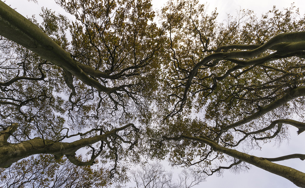 Elevation of 31 Tutbury Hollow, Ashbourne DE6, UK Topographic Map