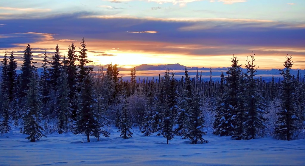 Winter Sunset in Alaska (Explored) This image is just minu… Flickr