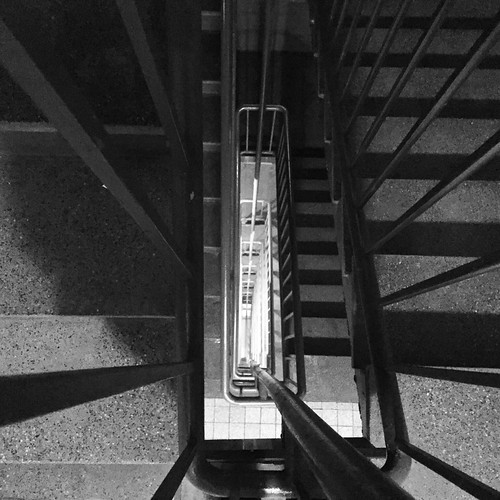 Descendre ou monter ? | Domi La fourmi | Flickr