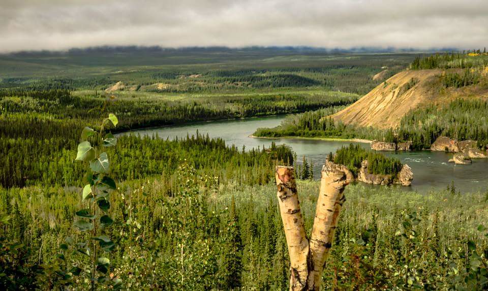 Following the mighty Yukon River to Dawson city. Rural Sce… Flickr
