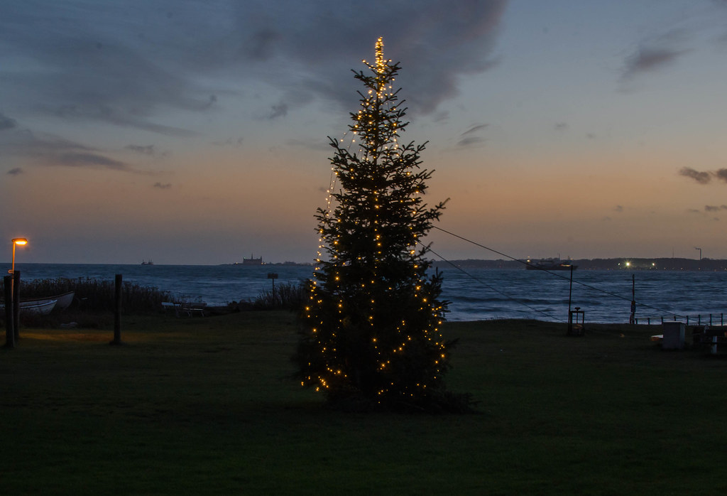 Tho common Christmas tree in Hittarp Frank Flickr