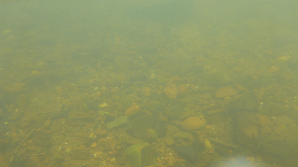 Camping in pembroke and enjoying the new river eggleston s… Flickr