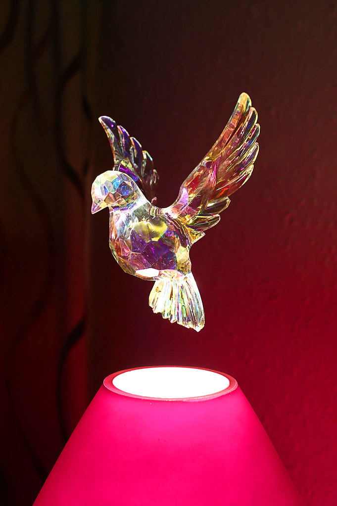 Hovering bird I bought a crystal bird decoration for Chris… Flickr