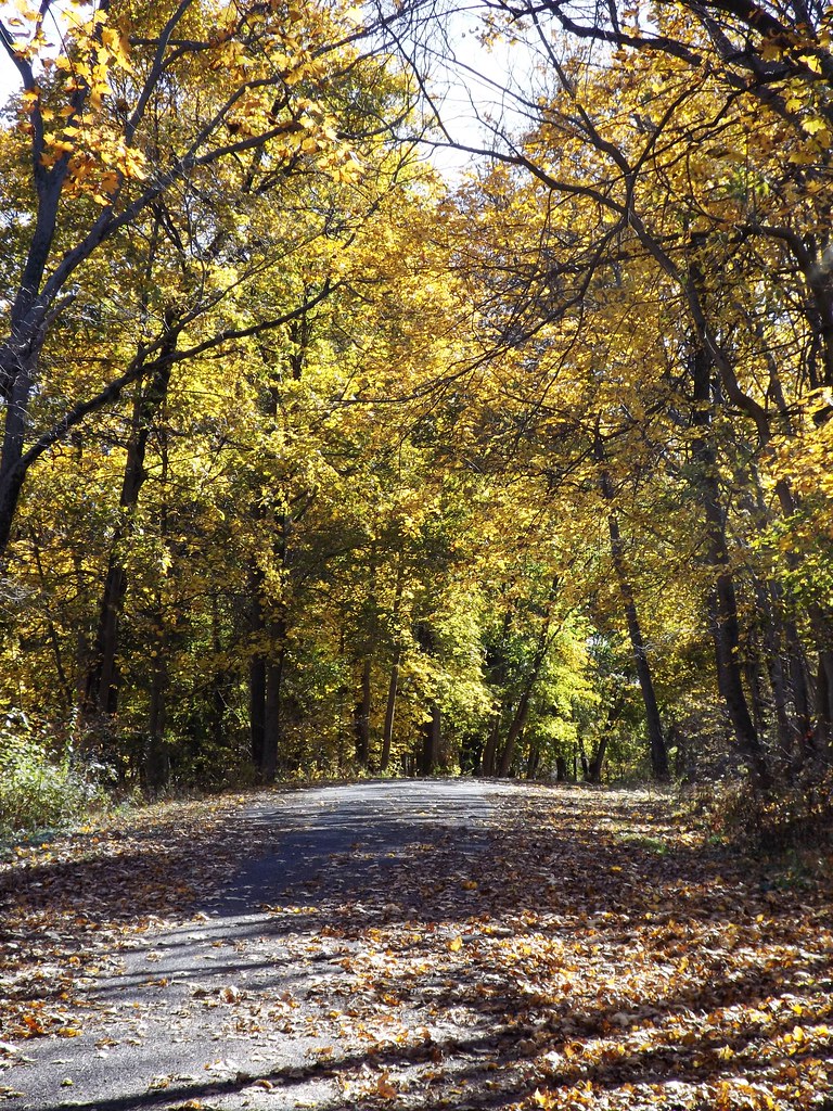 Paved Trail Capital Area Greenbelt Paxtang Parkway, Paxtan… Flickr
