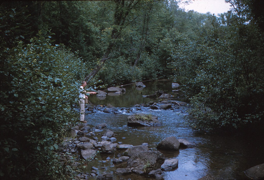Alan Lillyquist Fishing at Little Popple River near Spread… Flickr