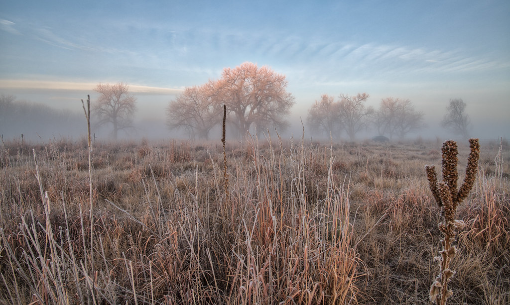 _D851634 Noel Fleming Flickr