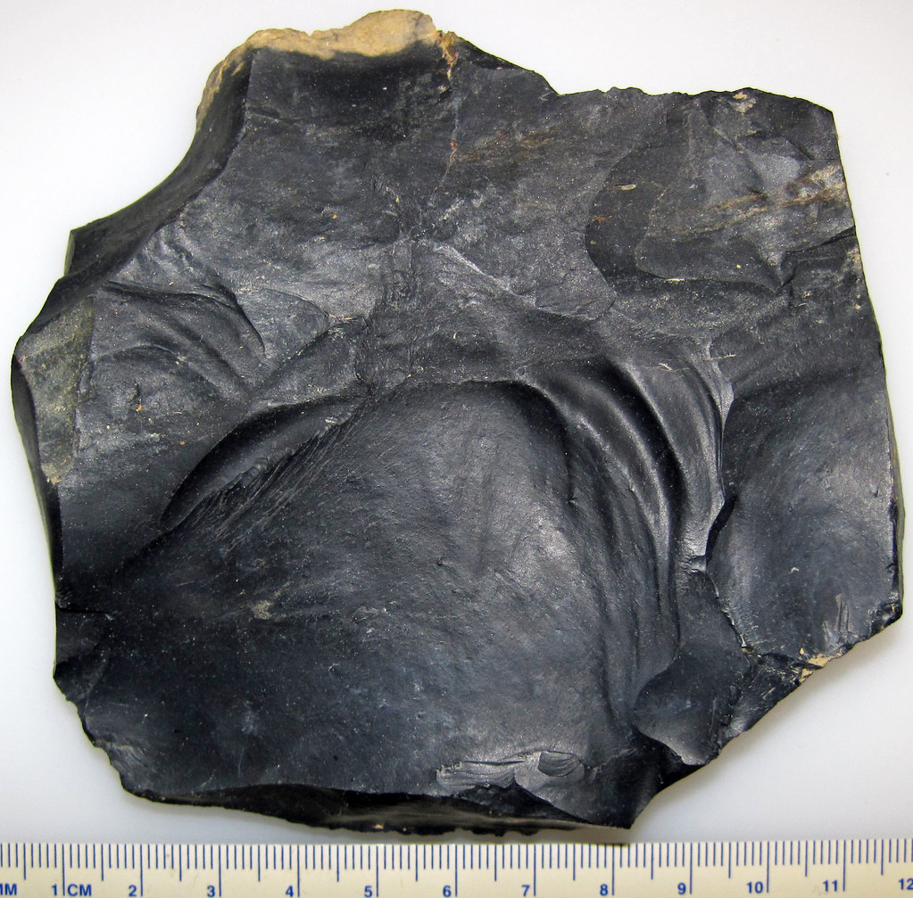 Flint (Upper Mercer Flint, Middle Pennsylvanian; Ohio, USA… Flickr