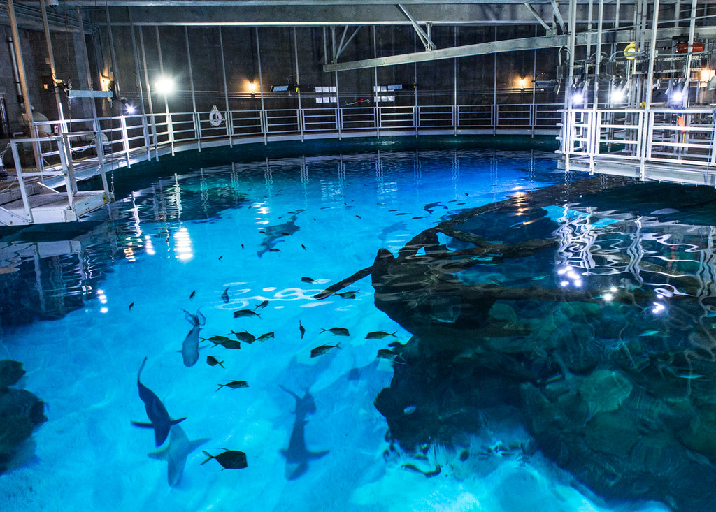 [最も選択された] mandalay bay aquarium 216054Mandalay bay aquarium price