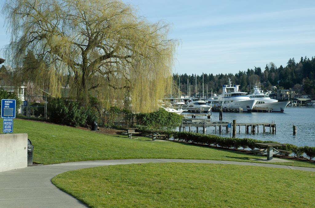 Meydenbauer A view from Meydenbauer Park in Bellevue, WA yimmy149
