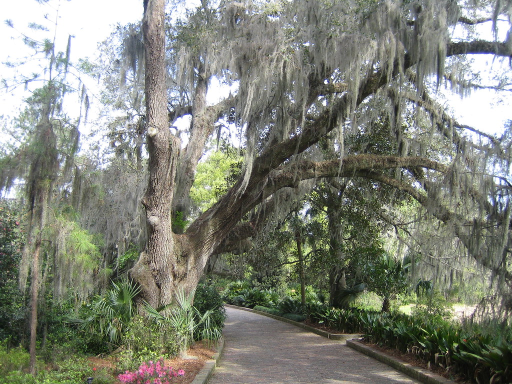 Gardens Maclay Gardens, March 11, 2006 Tallahassee, FL shawnson
