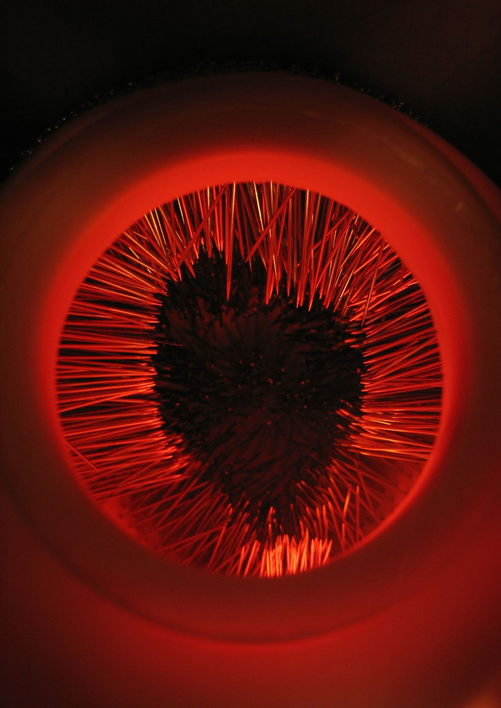 Heart Shaped Pubic Hair, Diy Pubic Style Stencils Heart And Star