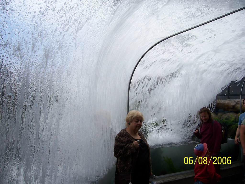 Tidepool Exhibit Monterey Bay Aquarium stevebyuen Flickr