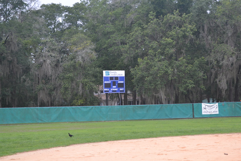 Greeentree_scoreboard City of Gainesville, Parks, Recreation and