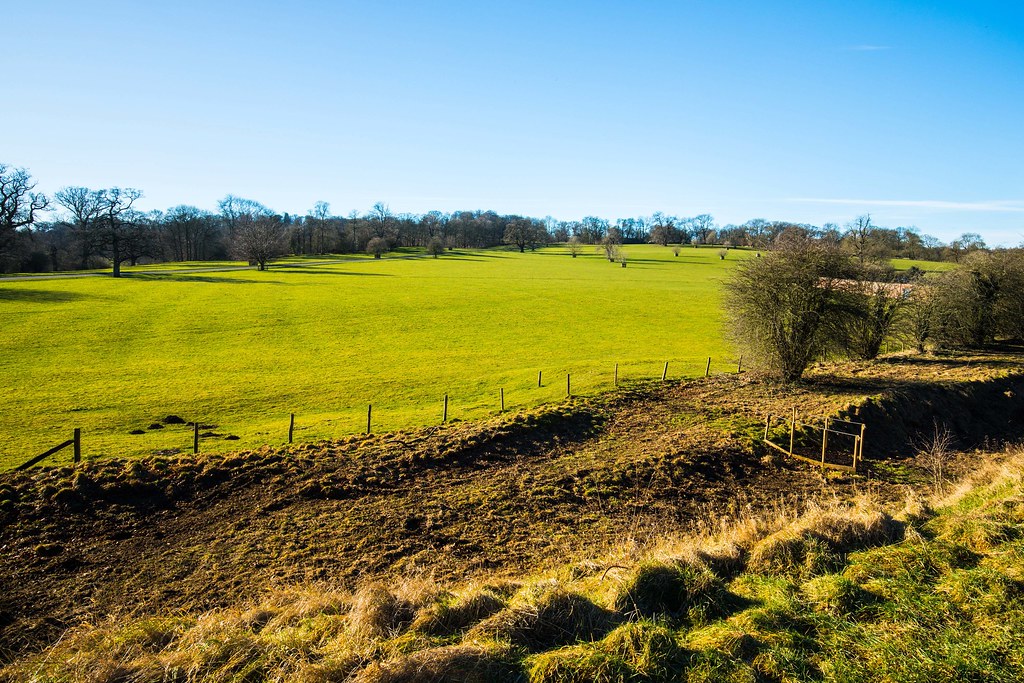Park from the Castle Walls Park from the… Flickr