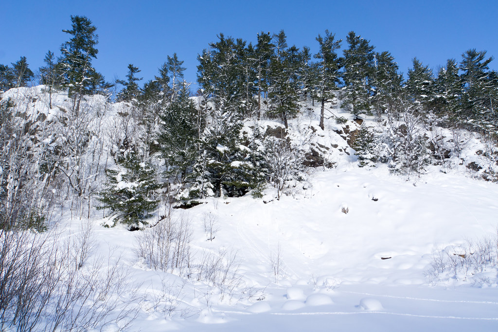Elevation of Motley Rd, Nisula, MI, USA Topographic Map Altitude Map