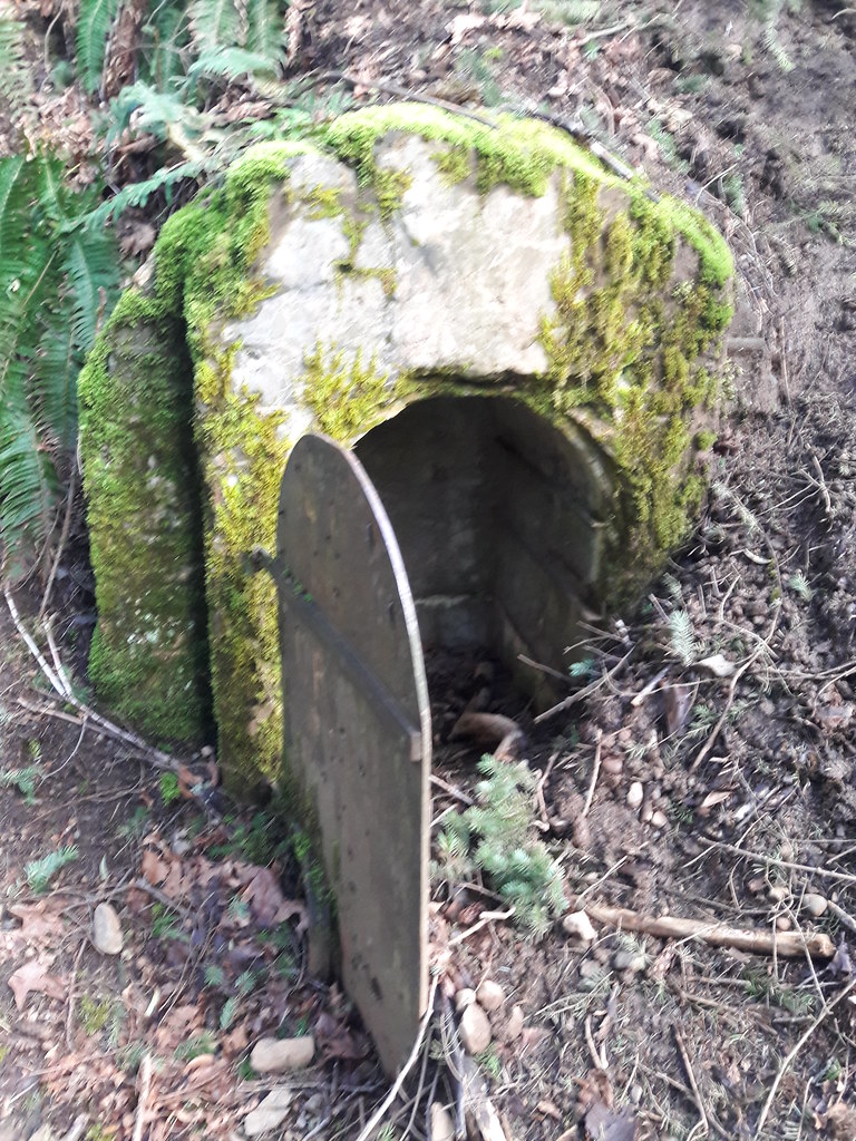 Nooksack Mines Flickr