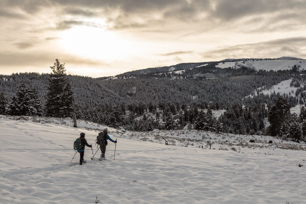 Yellowstone Forever Cougar course Snowshoeing Junction B… Flickr
