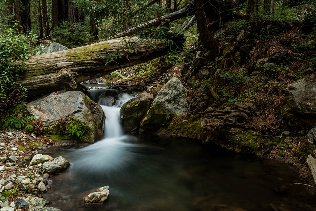 Limekiln Trail Brook with falls, along the Limekiln trail,… Flickr