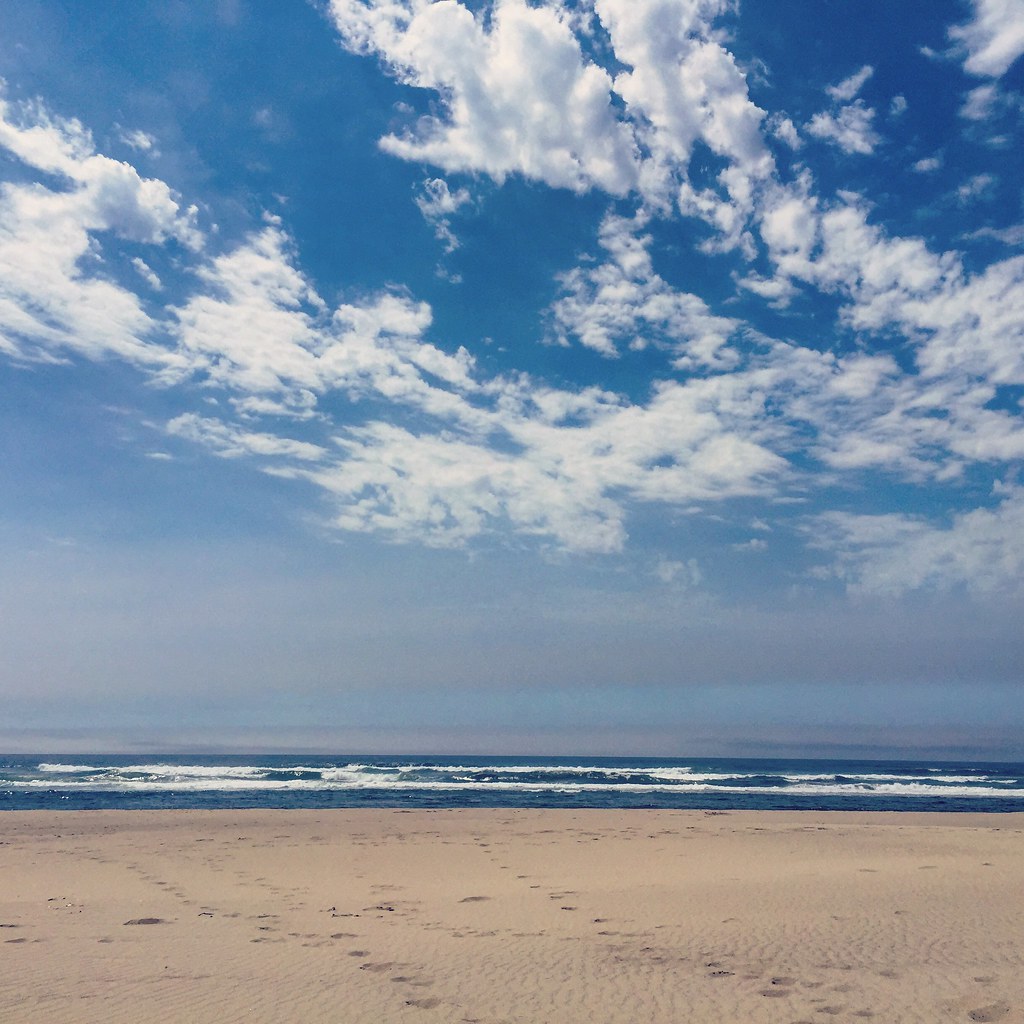 Florence. South Jetty Beach. June, 2015. Florence, OR. Emily
