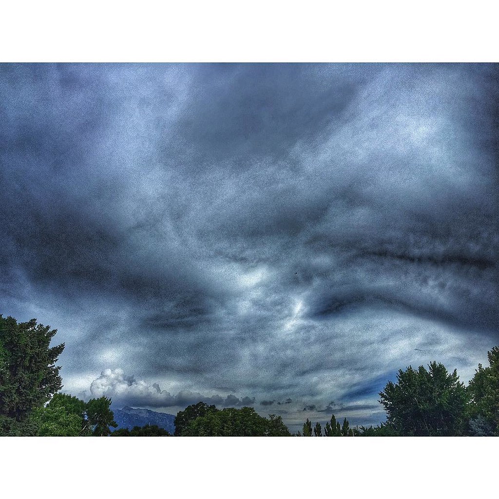 Got some rain last night, finally! Still overcast today. … Flickr