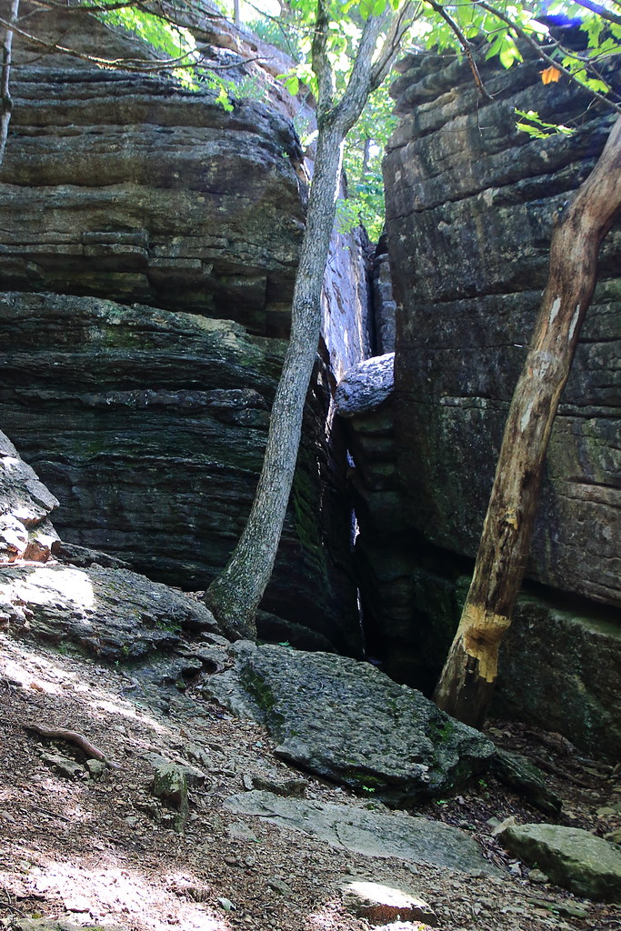 Devils Kitchen, Devil's Kitchen Trail Roaring River Stat… Flickr