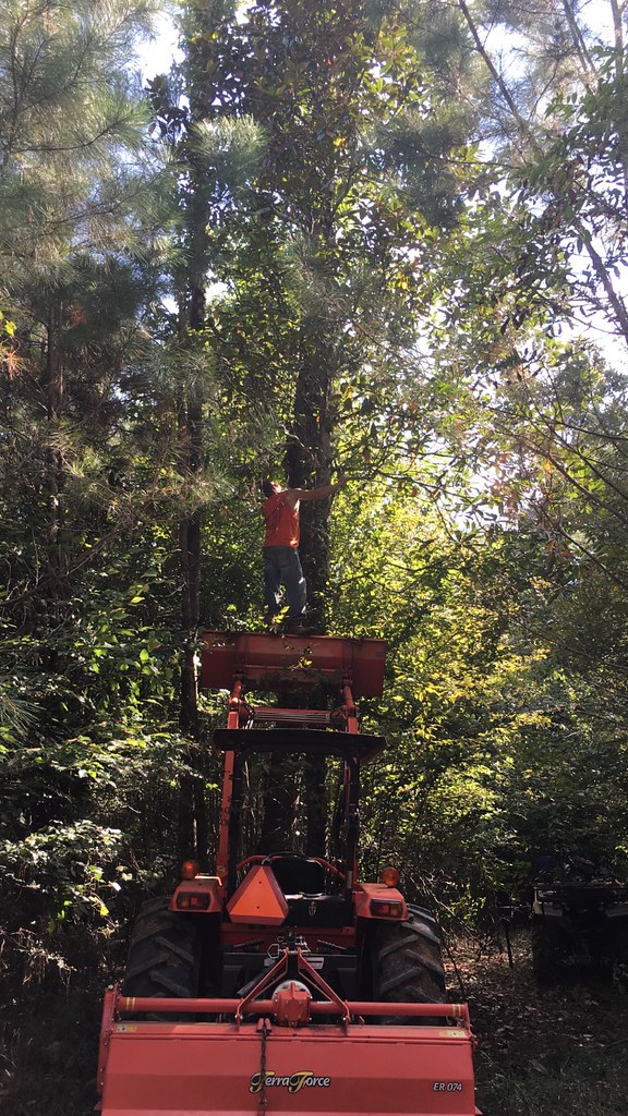 OSHA approved shawn barr Flickr