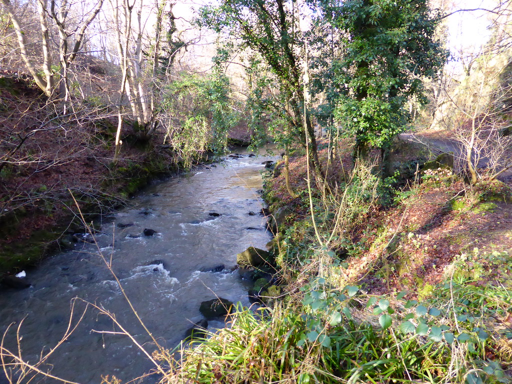 P1120427 Clackmannanshire Ramblers Low Valleyfield Eric davidson