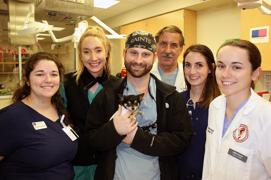 Luna Surgery Team Weighing less than two pounds, Luna, a