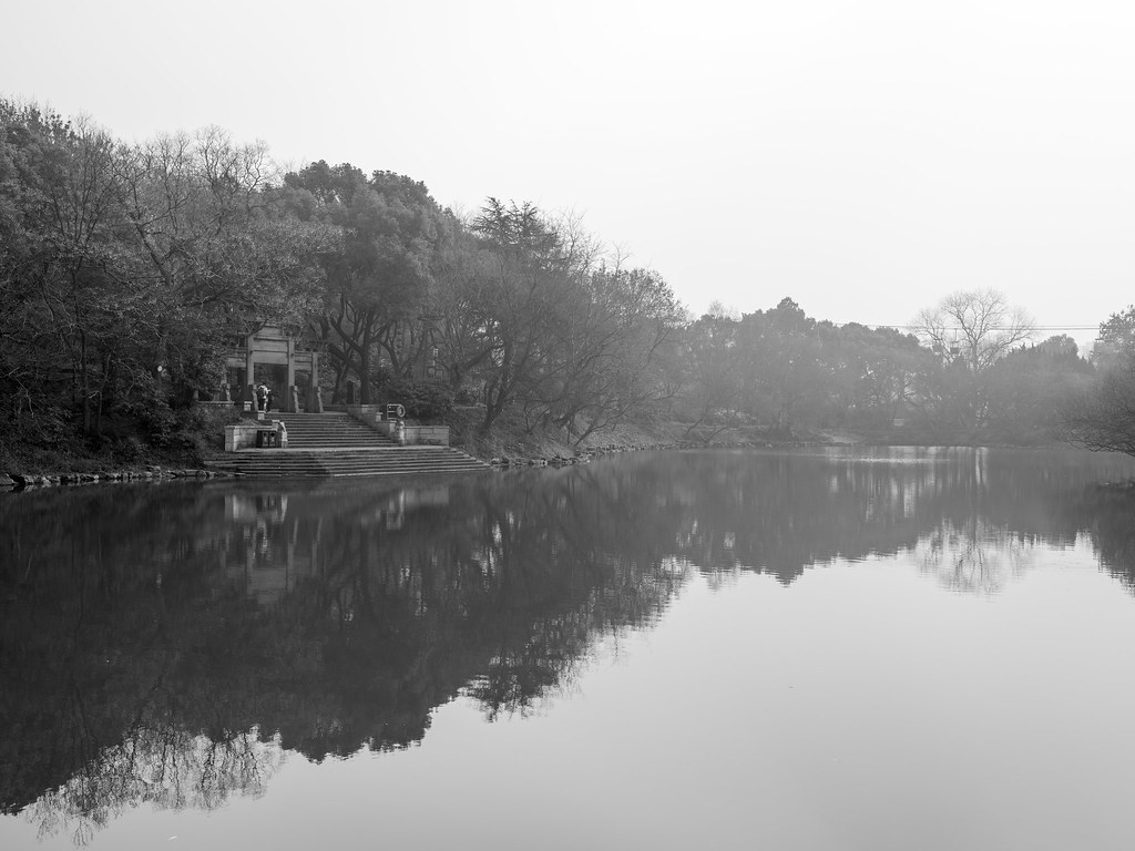 20180117_DSF0240 Linen Green Flickr