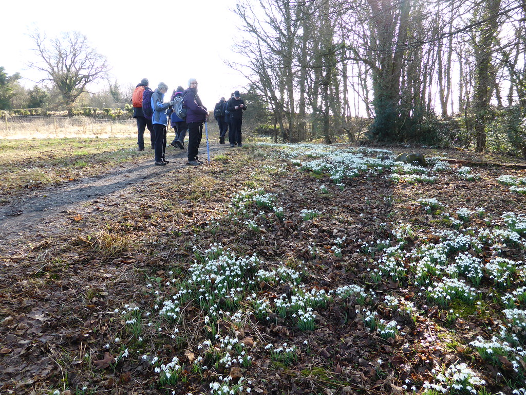 P1120453 Clackmannanshire Ramblers Low Valleyfield Eric davidson