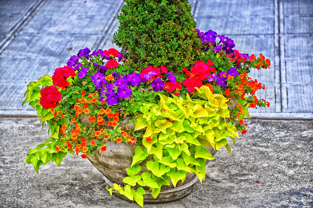 Flower pot on the street Andres Alvarado Flickr