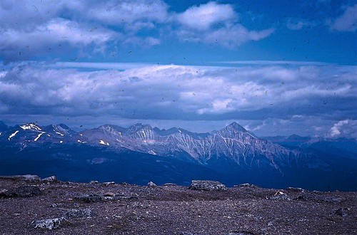 Top of Mount Whistler, Jasper National Park, Canada Flickr